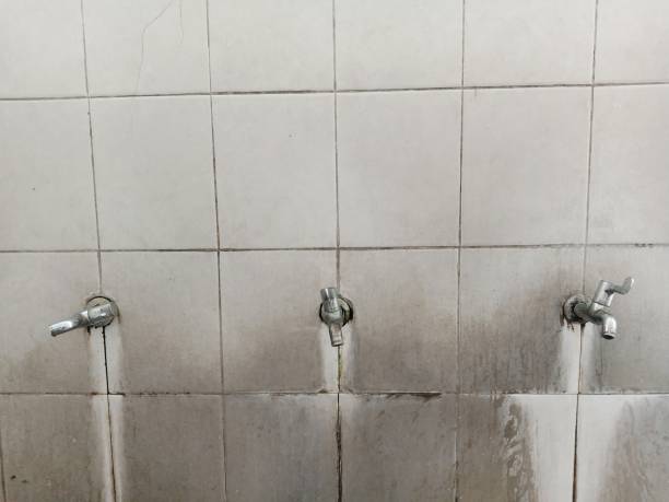 Best Water damage contractors near me  in Lakewood Park, TN