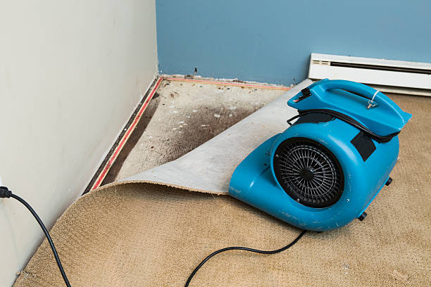 Best Basement water damage restoration  in Lakewood Park, TN